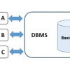 DBMS dan Aplikasi Basis Data