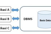 DBMS dan Aplikasi Basis Data DBMS dan Aplikasi Basis Data