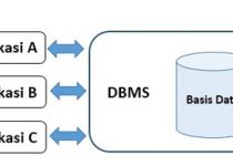 DBMS dan Aplikasi Basis Data