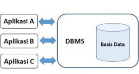 DBMS dan Aplikasi Basis Data